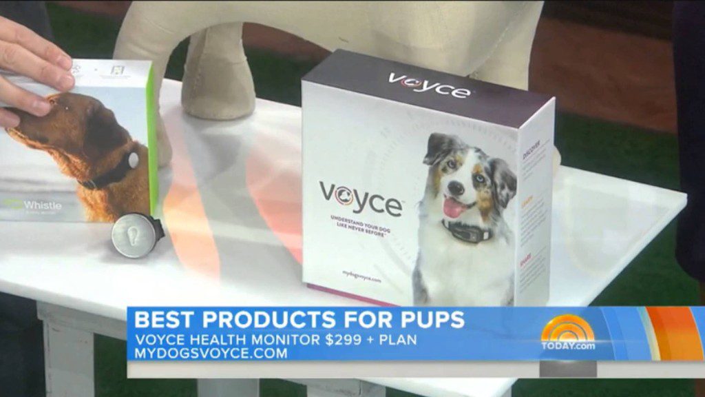 A dog 's best products for dogs