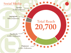 A pie chart showing the total reach of social media.